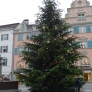 Illuminierung Christbaum Bregenz